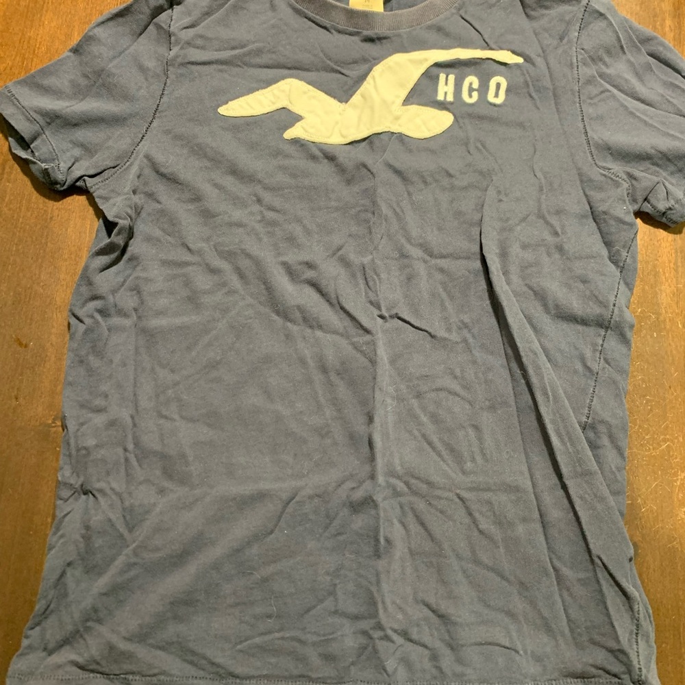 Mens Hollister tee